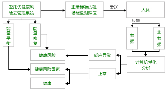 爱托优健康风险评估系统